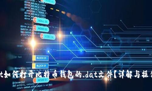 biasot如何打开比特币钱包的.dat文件？详解与操作步骤