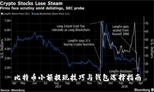 比特币小额提现技巧与钱包选择指南