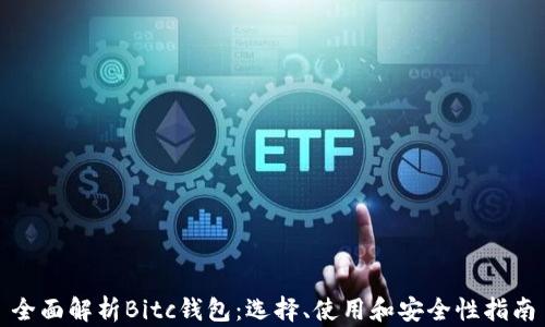 
全面解析Bitc钱包：选择、使用和安全性指南