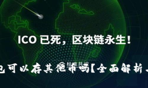 比特币钱包可以存其他币吗？全面解析与实用指南