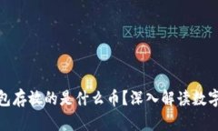 标题: 比特币钱包存放的是