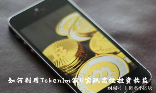 如何利用Tokenim假U实现高效投资收益