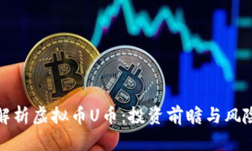 全面解析虚拟币U币：投资前瞻与风险评估