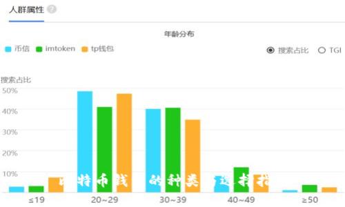 比特币钱包的种类与选择指南